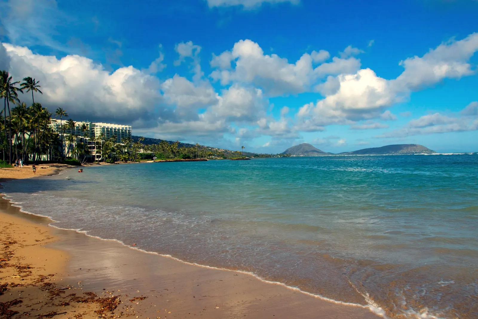 Kāhala Beach shoreline with palm trees and offshore islands