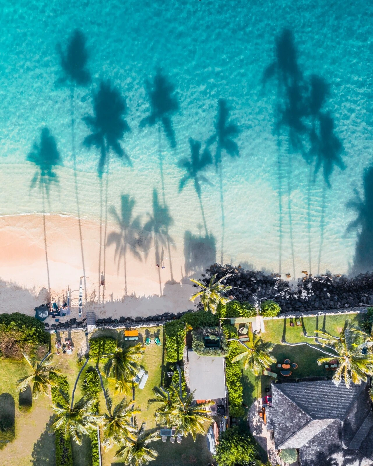 Palm tree shadows over turquoise water and shoreline in Kailua