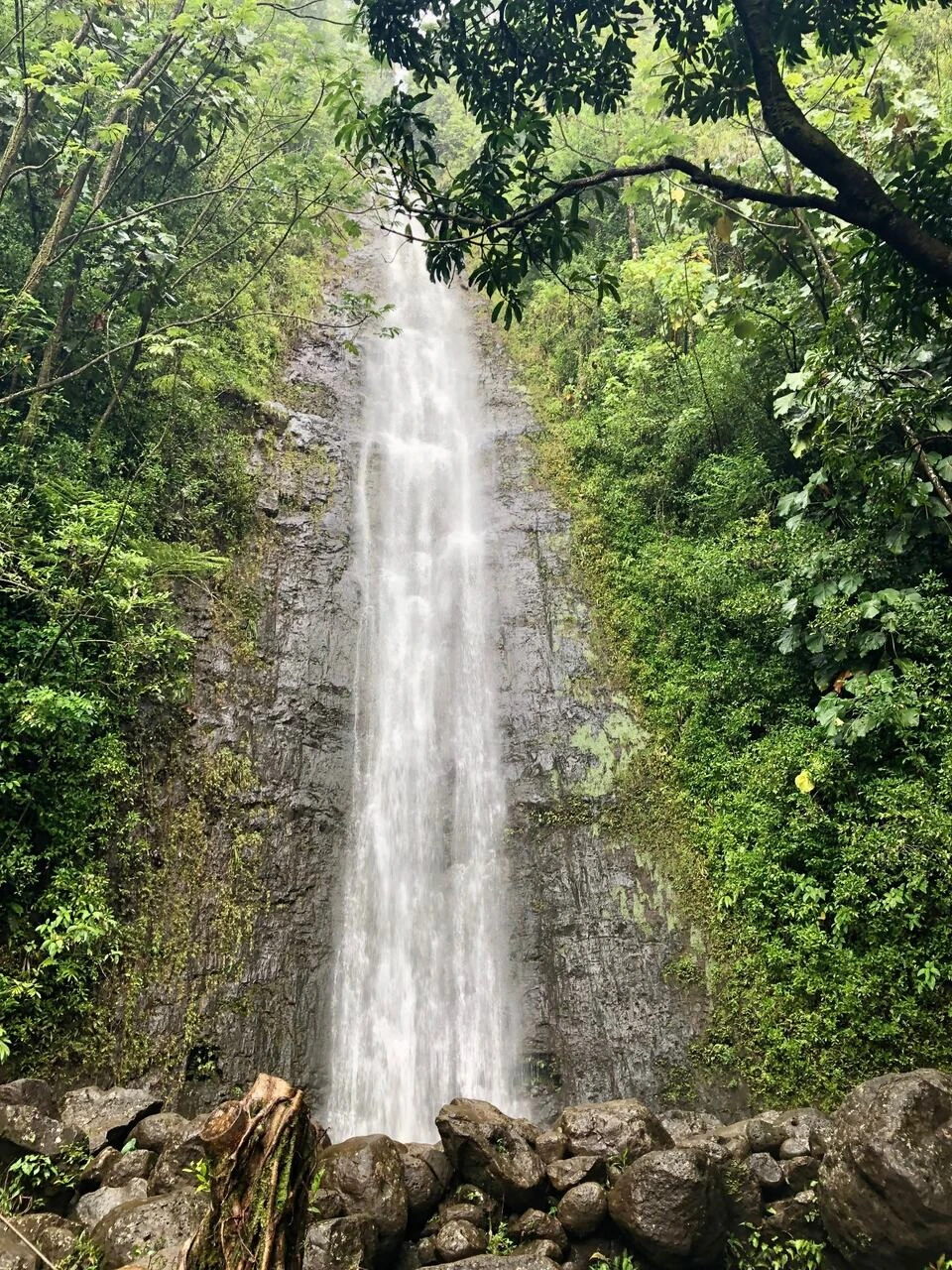 Waterfall surrounded by dense green vegetation in the Mānoa area