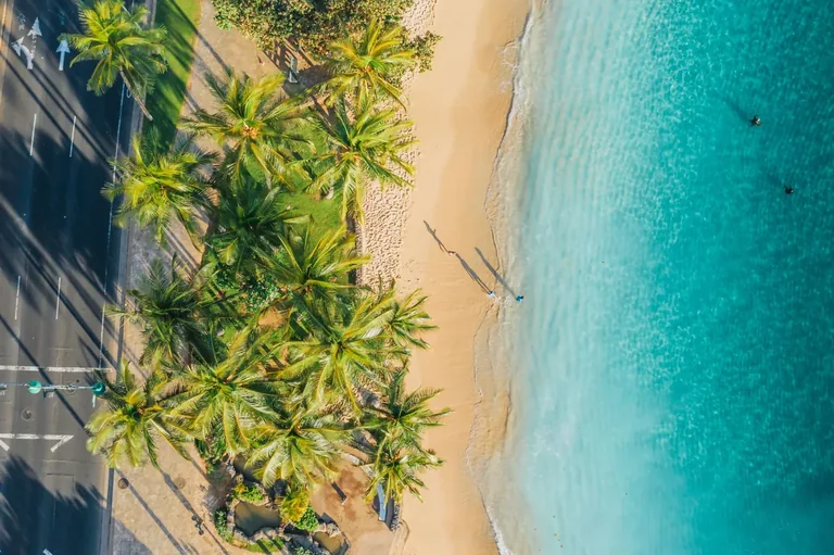 Aerial view of an Oʻahu beach with palm trees, a sandy shoreline, and clear blue water